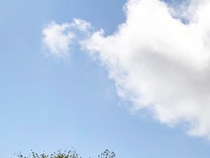 Vista Lago Apartments Rentals In West Palm Beach